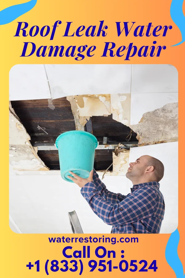 Roof Leak Water Damage Repair in Logan, OH